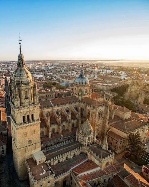 Lee más sobre el artículo FERIA DE SALAMANCA
